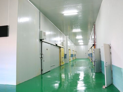 91看片神器APP下载